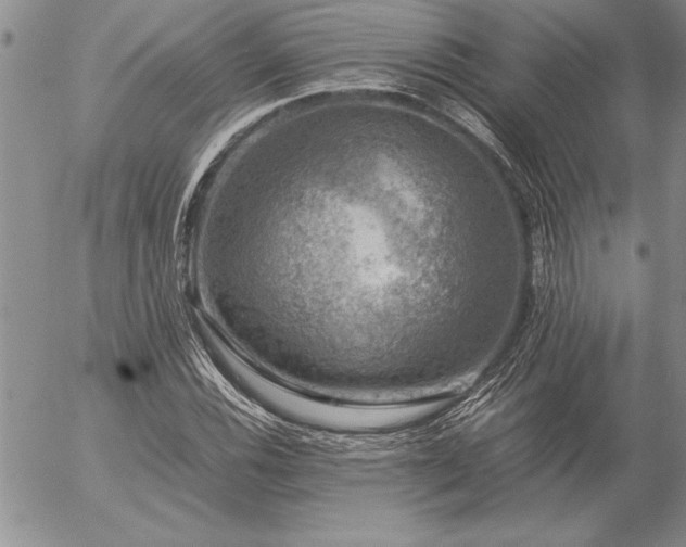 X0000057081116200509091241