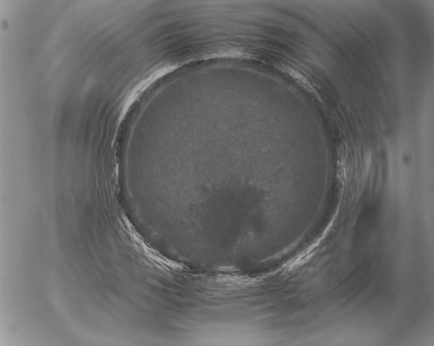 X0000057081117200509091241