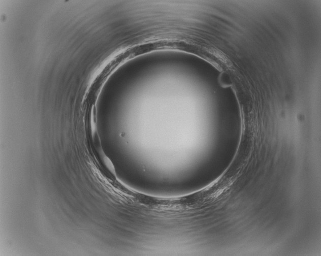 X0000057081118200509091241