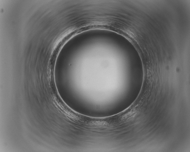 X0000057081119200509091241