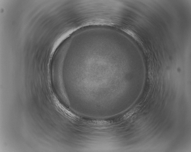 X0000057081120200509091241