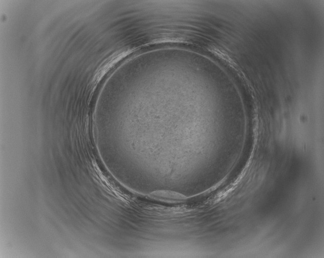 X0000057081121200509091241