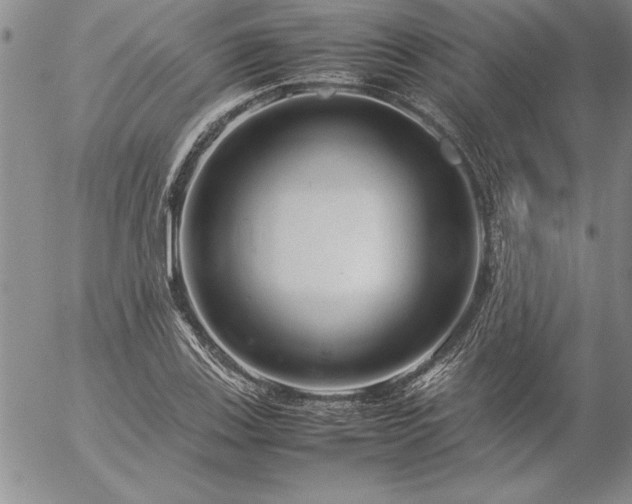 X0000057081123200509091241