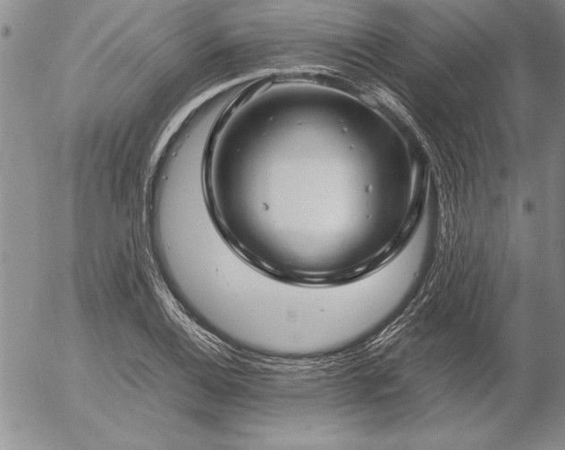 X0000057081124200509091241