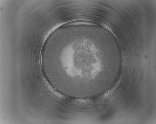 X0000057081125200509091241