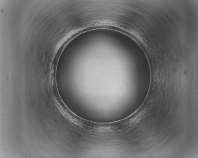 X0000057081126200509091241