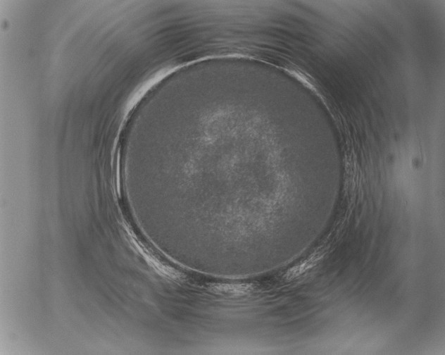 X0000057081127200509091241