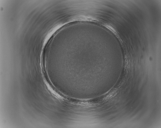 X0000057081128200509091241