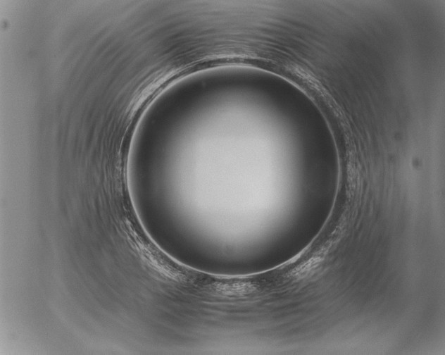 X0000057081129200509091241