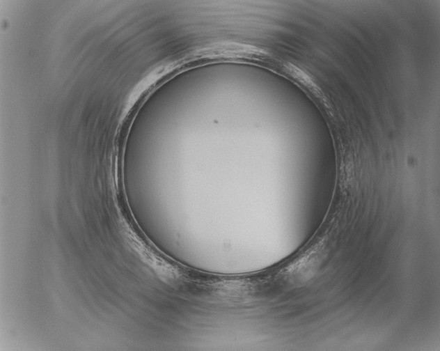 X0000057081130200509091241