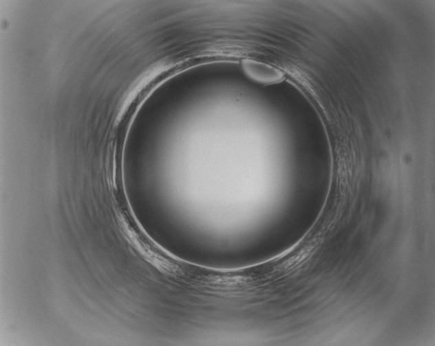 X0000057081131200509091241