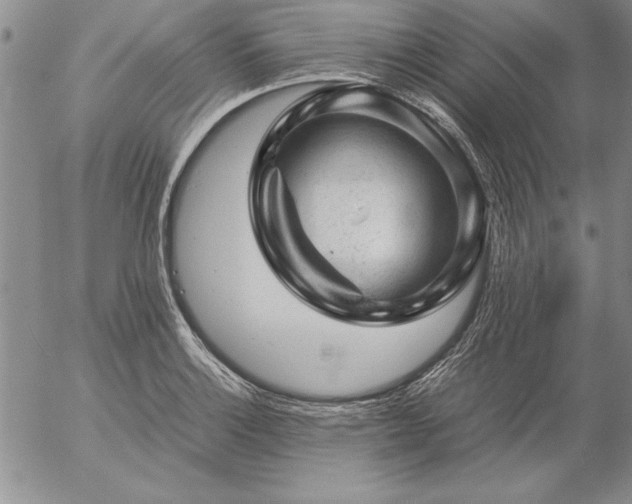 X0000057081132200509091241