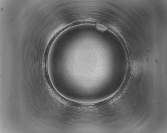 X0000057081133200509091241