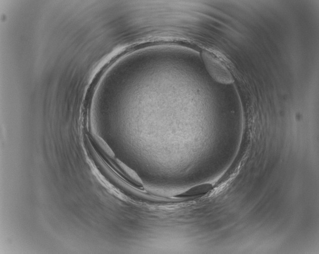 X0000057081134200509091241