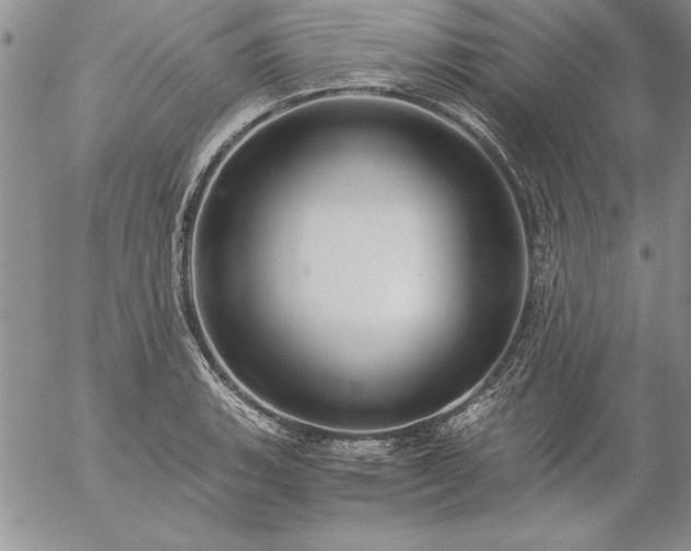 X0000057081135200509091241