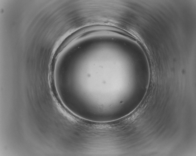 X0000057081136200509091241