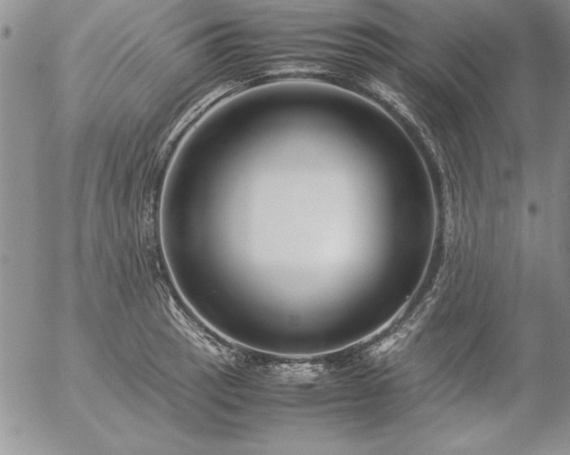 X0000057081137200509091241