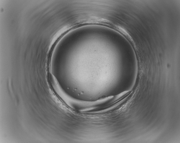 X0000057081138200509091241