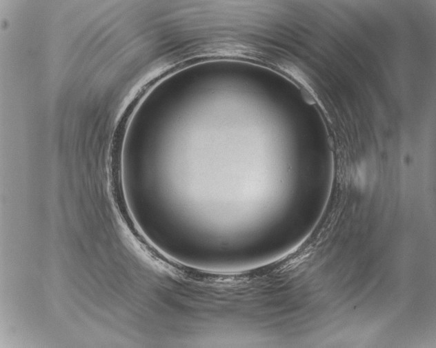 X0000057081139200509091241