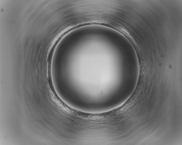 X0000057081140200509091241