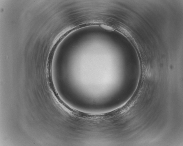 X0000057081141200509091241