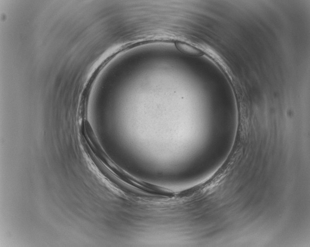 X0000057081142200509091241