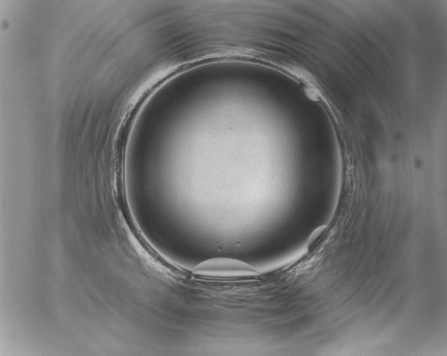 X0000057081143200509091241