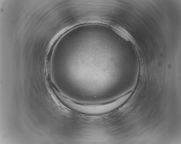 X0000057081144200509091241