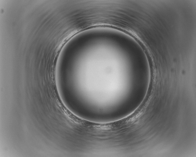 X0000057081145200509091241