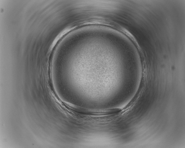 X0000057081146200509091241