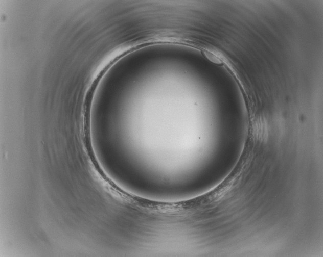 X0000057081147200509091241