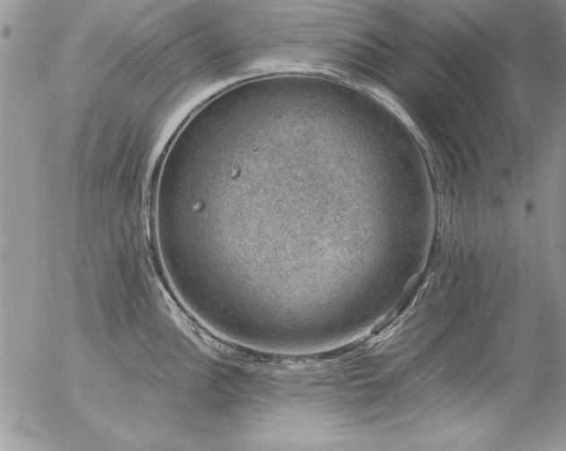 X0000057081148200509091241