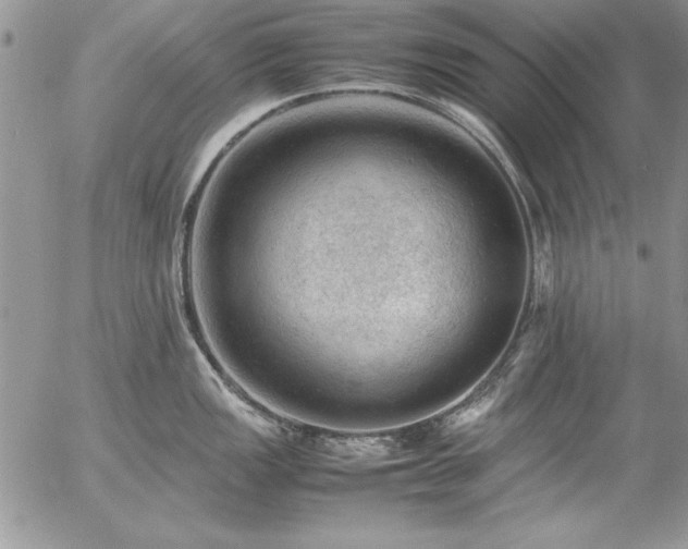 X0000057081149200509091241