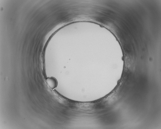 X0000057081150200509091241