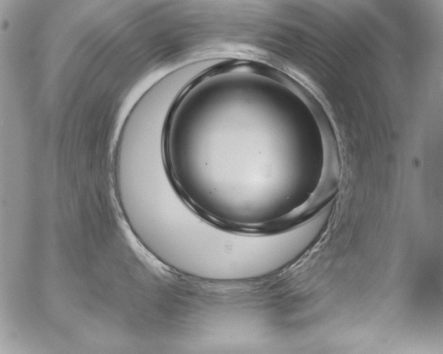 X0000057081152200509091241