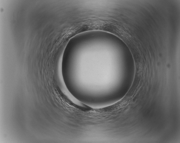 X0000057081153200509091241