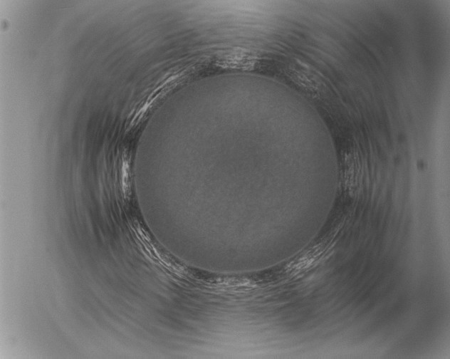 X0000057081154200509091240