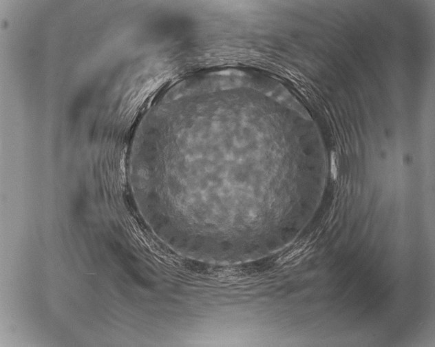 X0000057081155200509091240