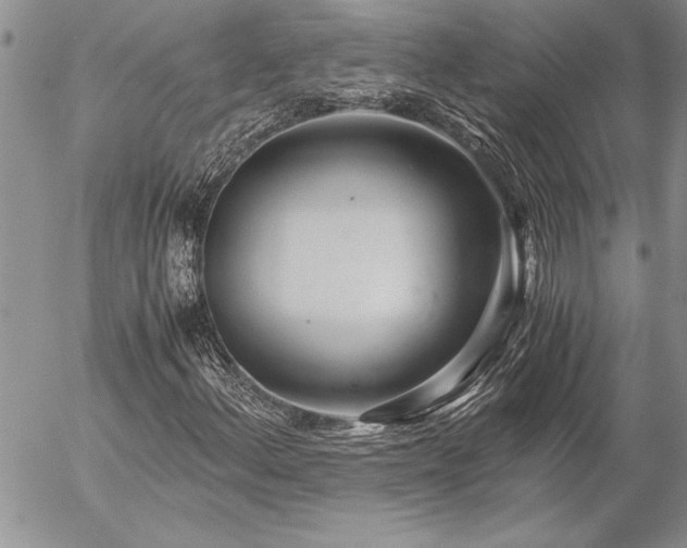 X0000057081156200509091240