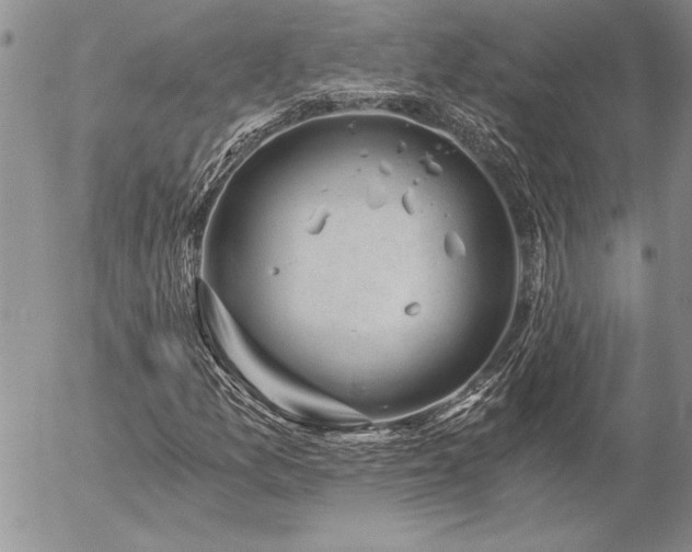 X0000057081157200509091240