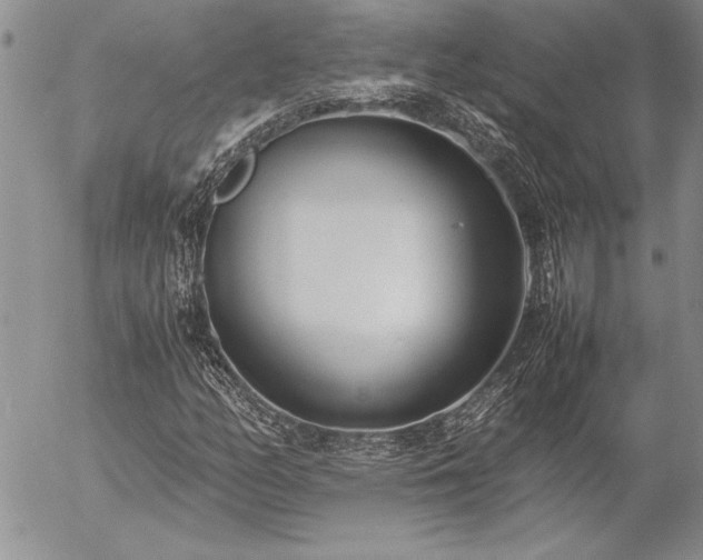 X0000057081158200509091240