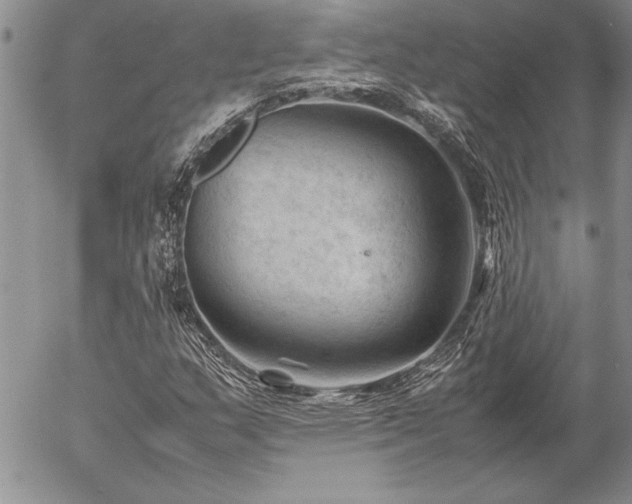 X0000057081159200509091240