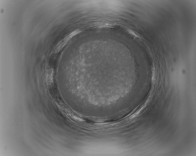 X0000057081161200509091240