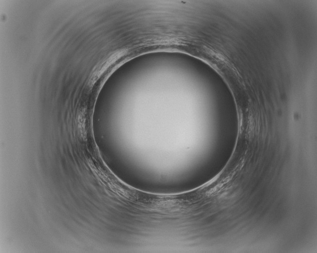 X0000057081162200509091240