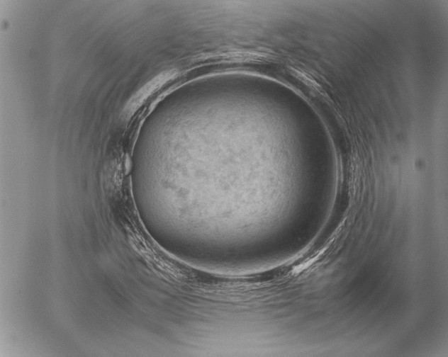 X0000057081163200509091240