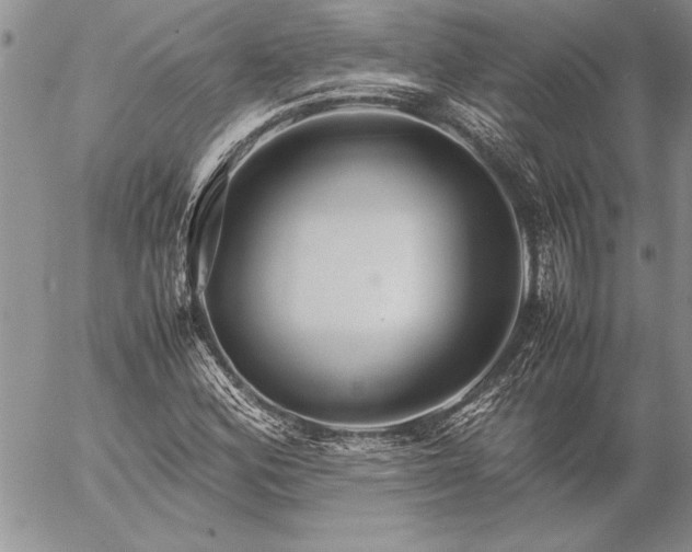 X0000057081164200509091240