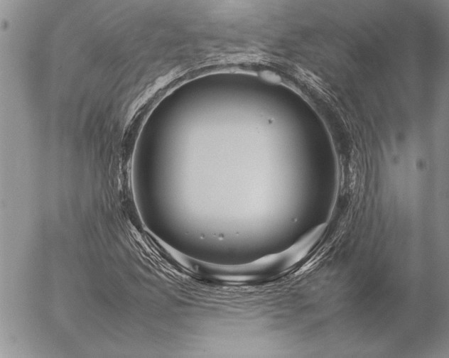 X0000057081165200509091240