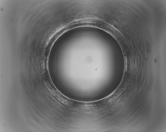 X0000057081166200509091240