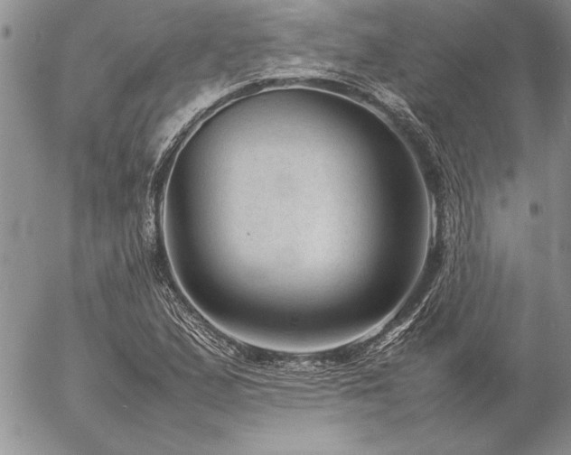 X0000057081167200509091240