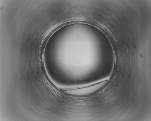 X0000057081168200509091240